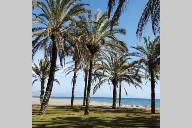 בנאלמדנה Apartamento Minerva Jupiter. The Perfect Accommodation For Your Vacation מראה חיצוני תמונה
